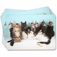 Cute Norwegian Forest Kittens Picture Placemats in Gift Box
