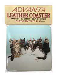 Cute Norwegian Forest Kittens Single Leather Photo Coaster
