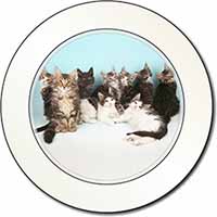 Cute Norwegian Forest Kittens Car or Van Permit Holder/Tax Disc Holder