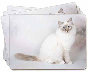 Beautiful Birman Cat Picture Placemats in Gift Box