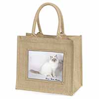 Birman Cat 