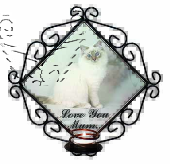 Birman Cat 