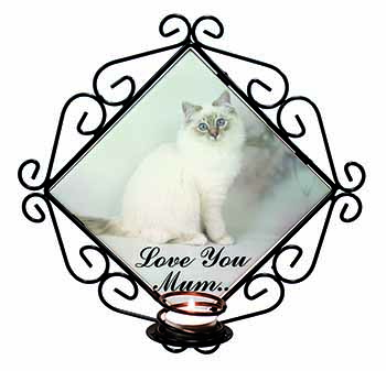 Birman Cat 