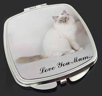 Birman Cat 