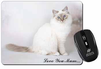 Birman Cat 