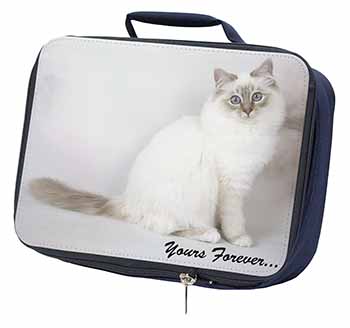 Birman Cat 