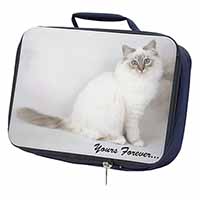 Birman Cat 