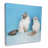 Gorgeous Birman Cats Square Canvas 12"x12" Wall Art Picture Print