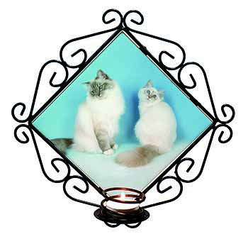 Gorgeous Birman Cats Wrought Iron Wall Art Candle Holder