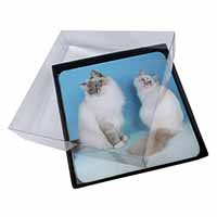 4x Gorgeous Birman Cats Picture Table Coasters Set in Gift Box