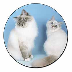 Gorgeous Birman Cats Fridge Magnet Printed Full Colour