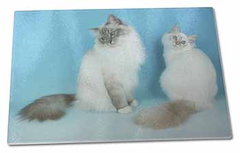 Large Glass Cutting Chopping Board Gorgeous Birman Cats