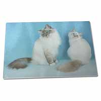 Large Glass Cutting Chopping Board Gorgeous Birman Cats