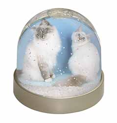 Gorgeous Birman Cats Snow Globe Photo Waterball