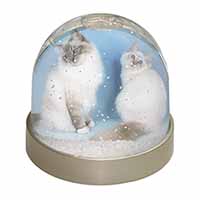 Gorgeous Birman Cats Snow Globe Photo Waterball