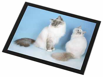 Gorgeous Birman Cats Black Rim High Quality Glass Placemat