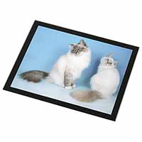 Gorgeous Birman Cats Black Rim High Quality Glass Placemat