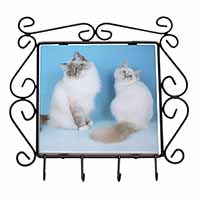 Gorgeous Birman Cats Wrought Iron Key Holder Hooks