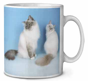 Gorgeous Birman Cats Ceramic 10oz Coffee Mug/Tea Cup