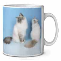 Gorgeous Birman Cats Ceramic 10oz Coffee Mug/Tea Cup