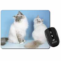 Gorgeous Birman Cats Computer Mouse Mat