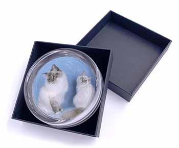 Gorgeous Birman Cats Glass Paperweight in Gift Box