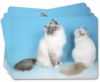 Gorgeous Birman Cats Picture Placemats in Gift Box