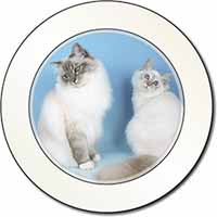 Gorgeous Birman Cats Car or Van Permit Holder/Tax Disc Holder