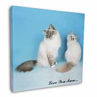 Birman Cat Print 