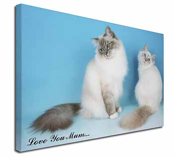 Birman Cat Print 