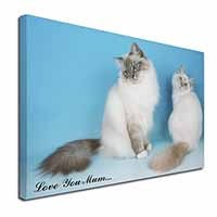 Birman Cat Print 