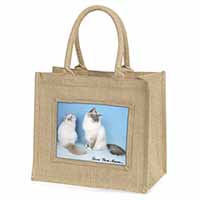 Birman Cat Print 