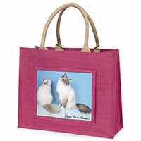 Birman Cat Print 