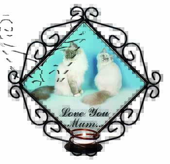 Birman Cat Print 