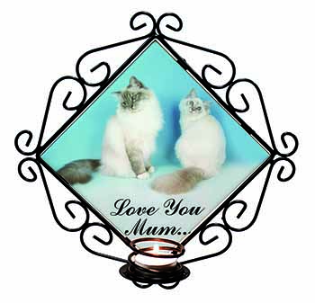 Birman Cat Print 