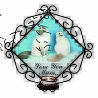 Birman Cat Print 