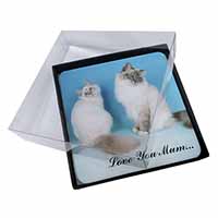 4x Birman Cat Print 