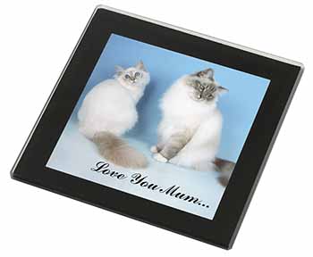 Birman Cat Print 