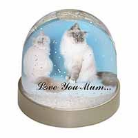 Birman Cat Print 