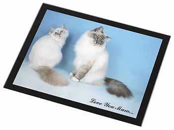 Birman Cat Print 