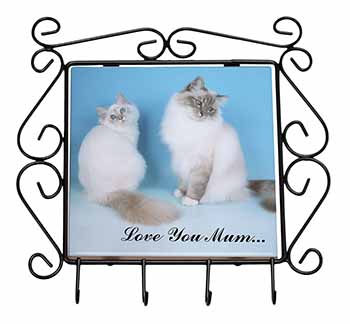 Birman Cat Print 