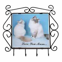 Birman Cat Print 