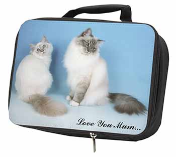 Birman Cat Print 