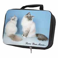 Birman Cat Print 