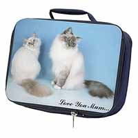 Birman Cat Print 