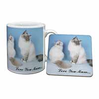 Birman Cat Print 