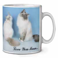 Birman Cat Print 