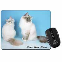 Birman Cat Print 