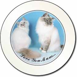 Birman Cat Print 