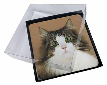4x Tabby and White Cat Picture Table Coasters Set in Gift Box